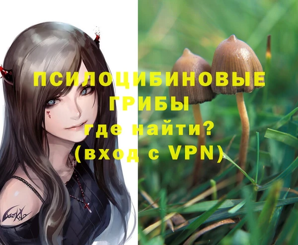 марихуана Новозыбков