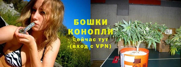 марихуана Новозыбков
