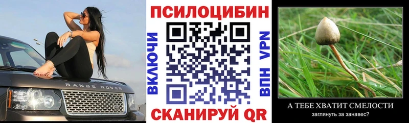 Галлюциногенные грибы GOLDEN TEACHER  Починок 